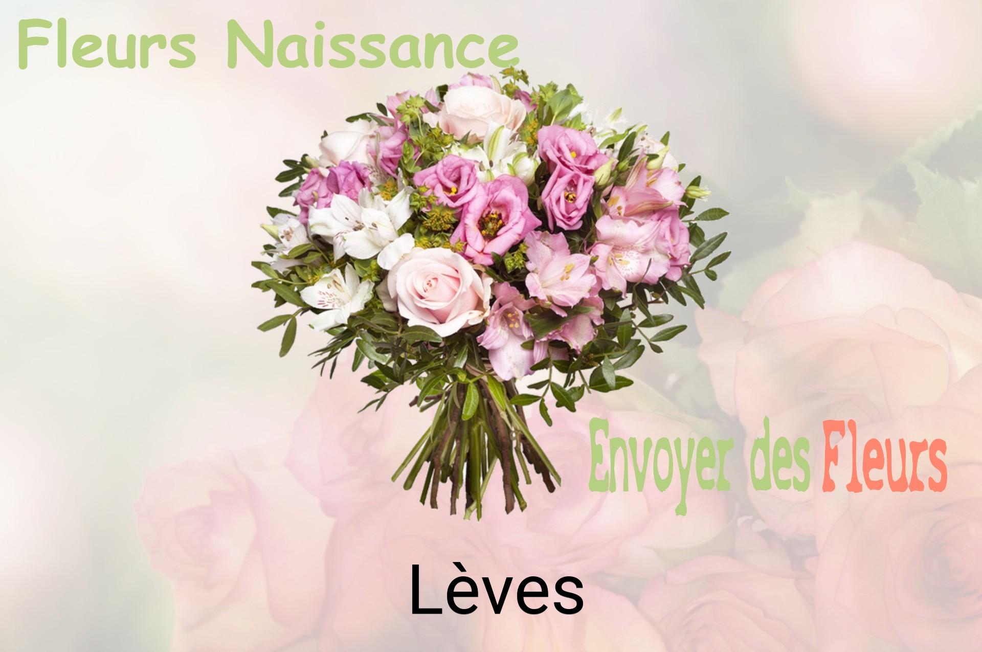 Bouquet de fleurs de naissance livré à Lèves